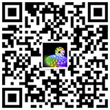 the qr code